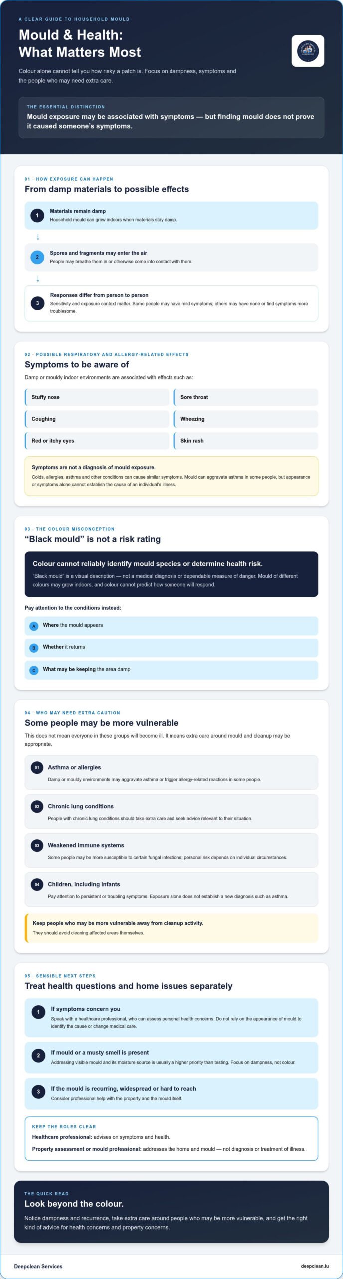 Health Risks of Household Mould: Facts, Myths and When to Act